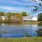 Beautiful lake on the property